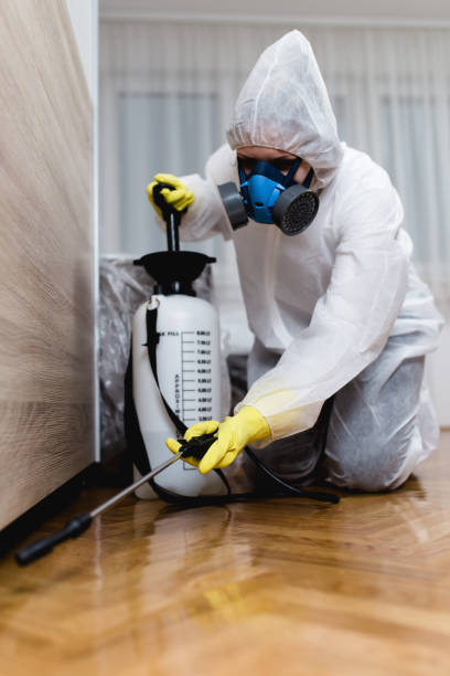 Best Emergency Pest Control  in Floral Park, NY